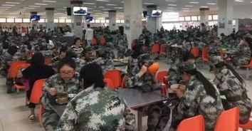 吃瓜娱乐训练生,揭秘训练生背后的故事与成长