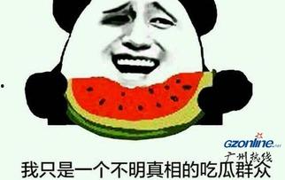 娱乐圈吃瓜的梗是什么意思,揭秘明星幕后故事与娱乐八卦的狂欢盛宴